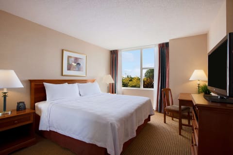 Suite, 1 King Bed | In-room safe, desk, laptop workspace, rollaway beds