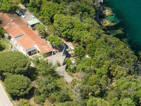 Activities, Amenities, Balcony / Terrace / Patio, Building Exterior, City, Scenic View, Spring, Summer, Wellness