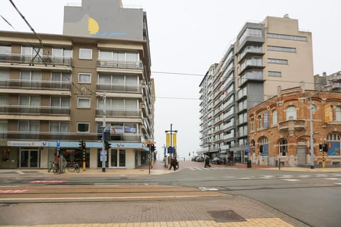 Immediate Surroundings [summer] (&lt;1 km)