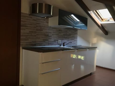 Standard Apartment | Private kitchenette | Fridge, microwave