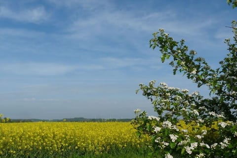 Immediate Surroundings [summer] (&lt;1 km)