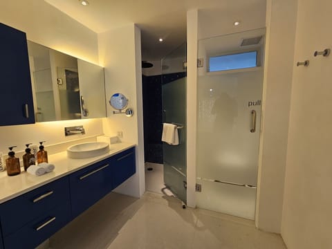 Panoramic Studio Suite | Bathroom | Separate tub and shower, hair dryer, bathrobes, slippers