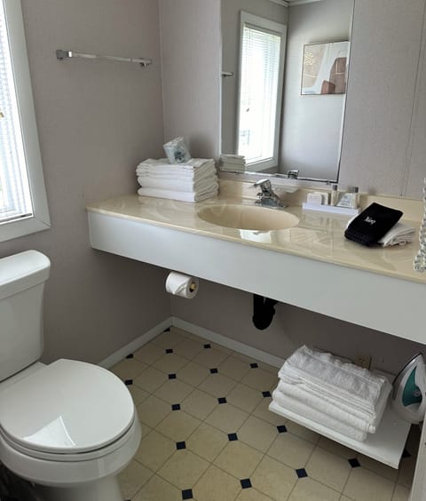 1 King (Ground Floor) | Bathroom | Free toiletries, hair dryer, towels, soap