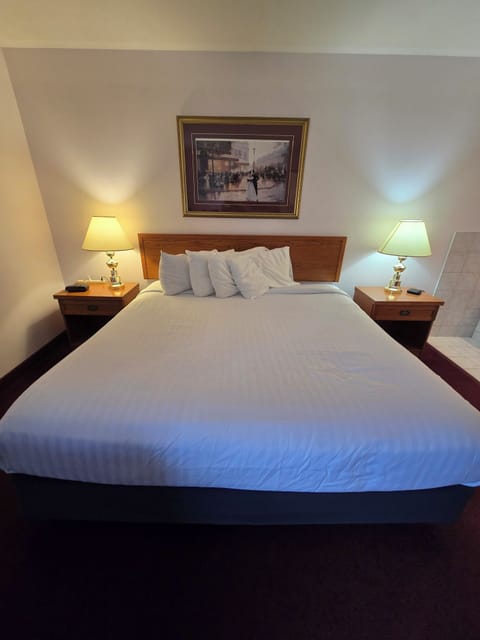 Room, 1 King Bed, Non Smoking | Desk, blackout drapes, iron/ironing board, free WiFi