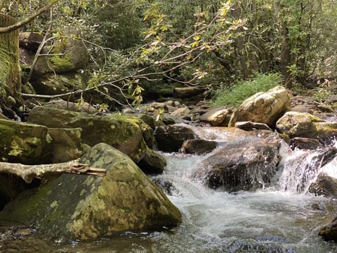 Short drive to Montreat.  Image: creek that runs next to the picnic area.