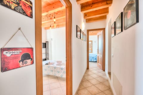 Common area (corridors, hall)