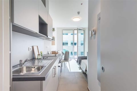 Superior Studio | Private kitchen | Full-size fridge, oven, cookware/dishes/utensils