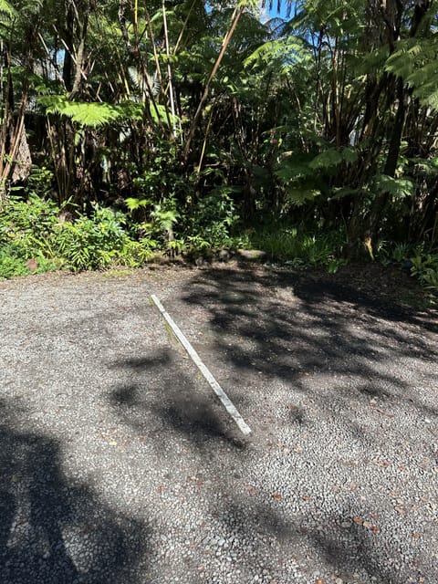 One vehicle only for each room.