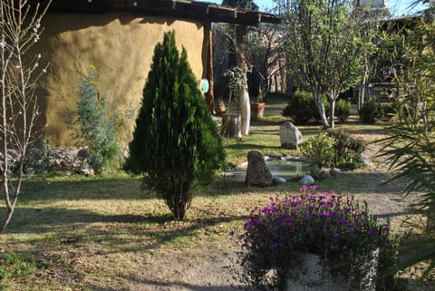 Traditional Double Room | Garden view