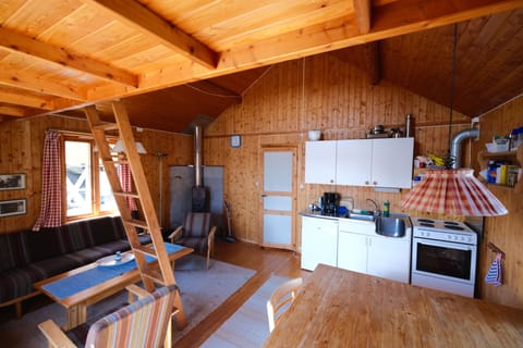 Traditional Cabin | Private kitchen | Fridge, microwave