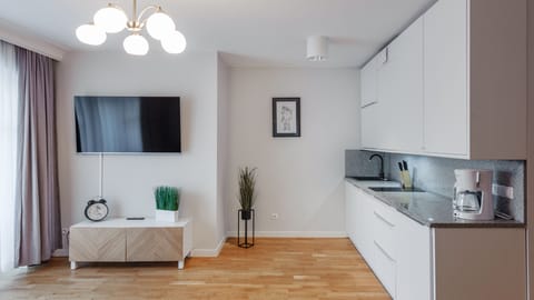 Apartment (5) | Private kitchenette | Fridge, stovetop, electric kettle, cookware/dishes/utensils