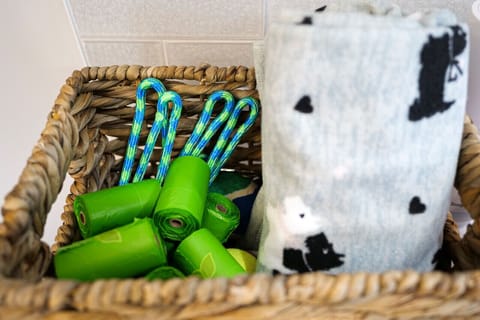 A collection of dog treats, ready to delight your furry friend with flavors that make tails wag and hearts happy.