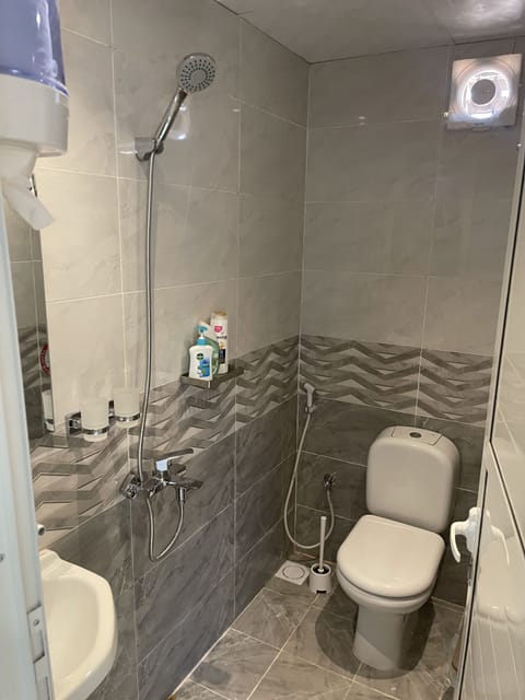 Comfort Double Room | Bathroom | Shower, free toiletries, hair dryer, slippers