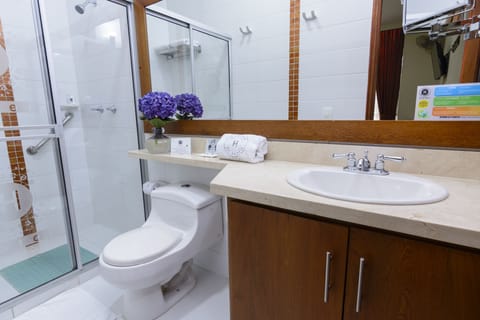 Family Room | Bathroom | Shower, free toiletries, hair dryer, towels