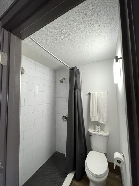 Premier Room | Bathroom | Shower, free toiletries, hair dryer, towels