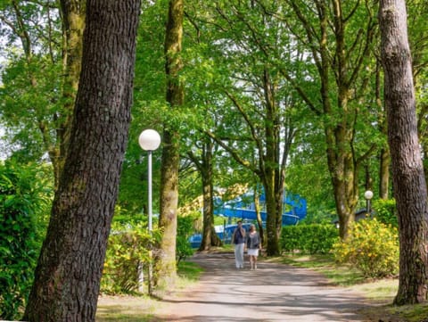 Take a leisurely stroll down the shaded lane that winds through our campsite.