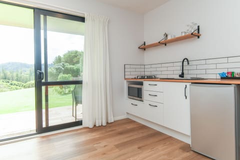 Studio | Private kitchen | Mini-fridge, microwave, oven, stovetop