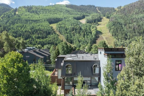Overview of building and Clarks Market with Telluride Ski Resort in the background