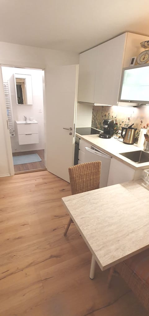 Deluxe Studio | Private kitchen | Fridge, highchair