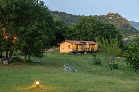 Plant, Sky, Building, Property, Ecoregion, Mountain, Window, Leaf, Tree, House