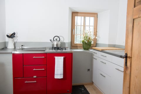 Kitchen with a wood stove and gas stove