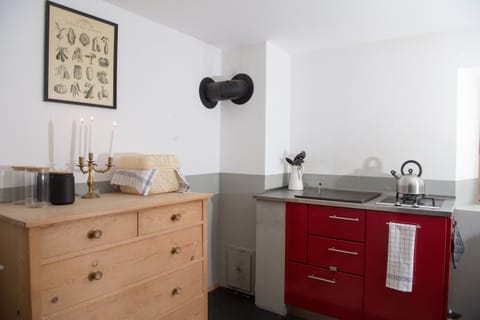 Kitchen with a wood stove and gas stove