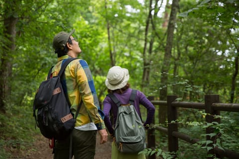 Hiking