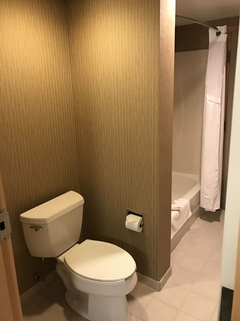 Suite, 1 King Bed | Bathroom | Shower, free toiletries, hair dryer, towels