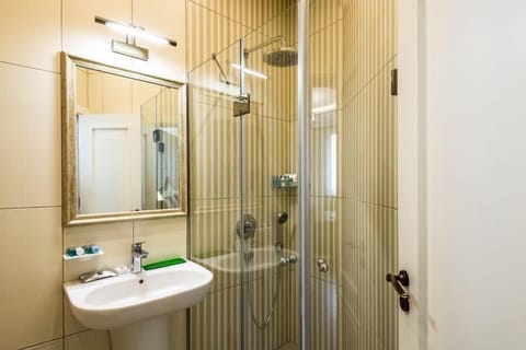 Deluxe Double Room | Bathroom | Shower, hair dryer, slippers, towels