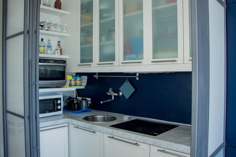 Exclusive Apartment | Private kitchen | Full-size fridge, microwave, stovetop, dishwasher