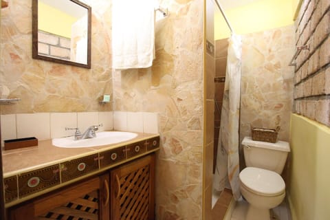 Family Room | Bathroom | Shower, rainfall showerhead, hair dryer, towels