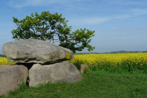 Surroundings [summer] (1-5 km)