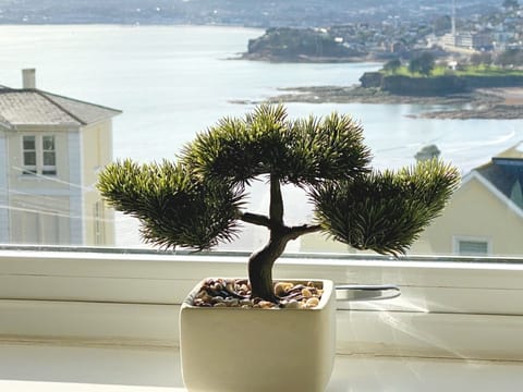 Sea View Apartment, 7 Ellington Court, Torquay - Views of The English Riviera