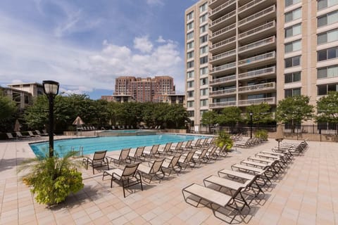 Seasonal outdoor pool, pool umbrellas, sun loungers