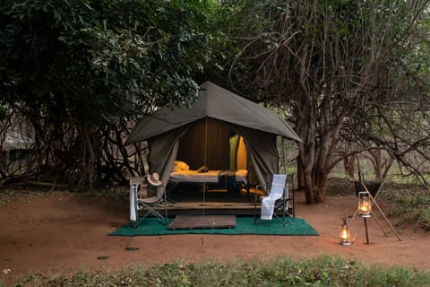 Basic Tent | Premium bedding, bed sheets