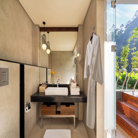 Premium Room (with Plunge Pool) | Bathroom | Shower, free toiletries, hair dryer, bathrobes