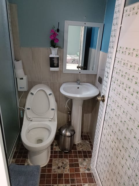 Combined shower/tub, free toiletries, heated floors, towels