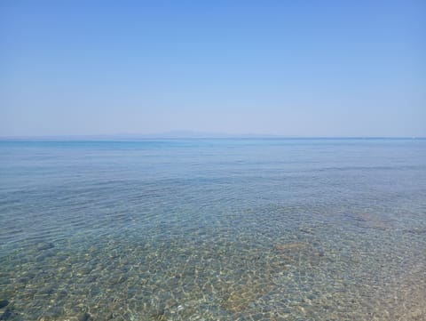 Beach nearby, white sand