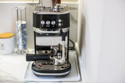 Deluxe Apartment | Private kitchen | Fridge, microwave, oven, stovetop