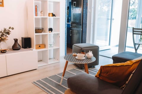 Apartment (One Bedroom Apartment) | Living room | 43-inch Smart TV with satellite channels, stereo