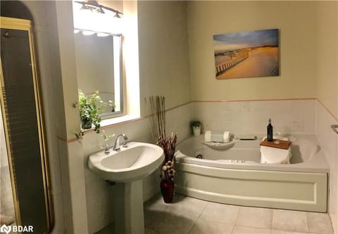 Separate tub and shower, jetted tub, free toiletries, hair dryer