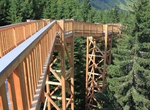 Surroundings [summer] (1-5 km)