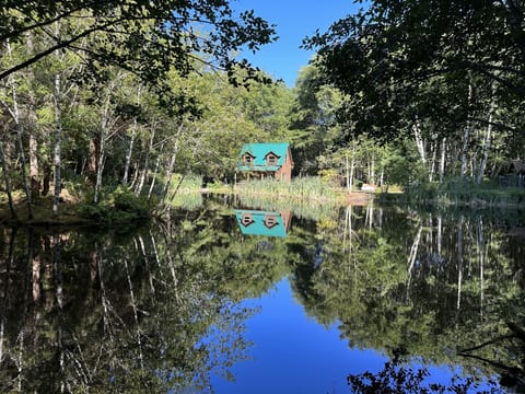 Lower Twin Cabin from across the pond