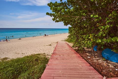 Beach nearby, white sand