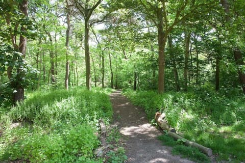 Surroundings [summer] (1-5 km)