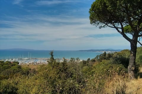 Surroundings [summer] (1-5 km)