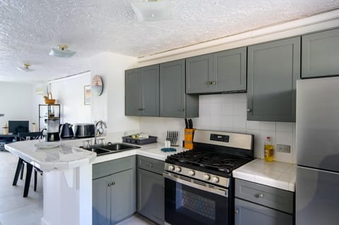 Deluxe Villa | Private kitchen | Full-size fridge, oven, stovetop, electric kettle