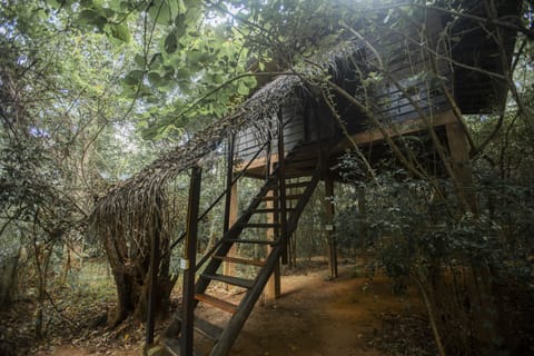 Family Tree House