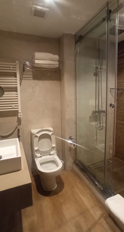 Standard Double or Twin Room | Bathroom | Shower, free toiletries, hair dryer, bidet