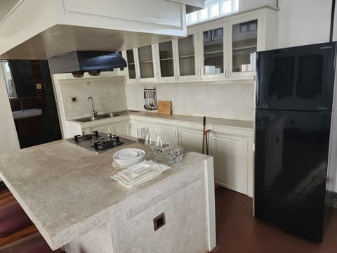 Family Apartment | Private kitchen | Fridge, microwave, electric kettle